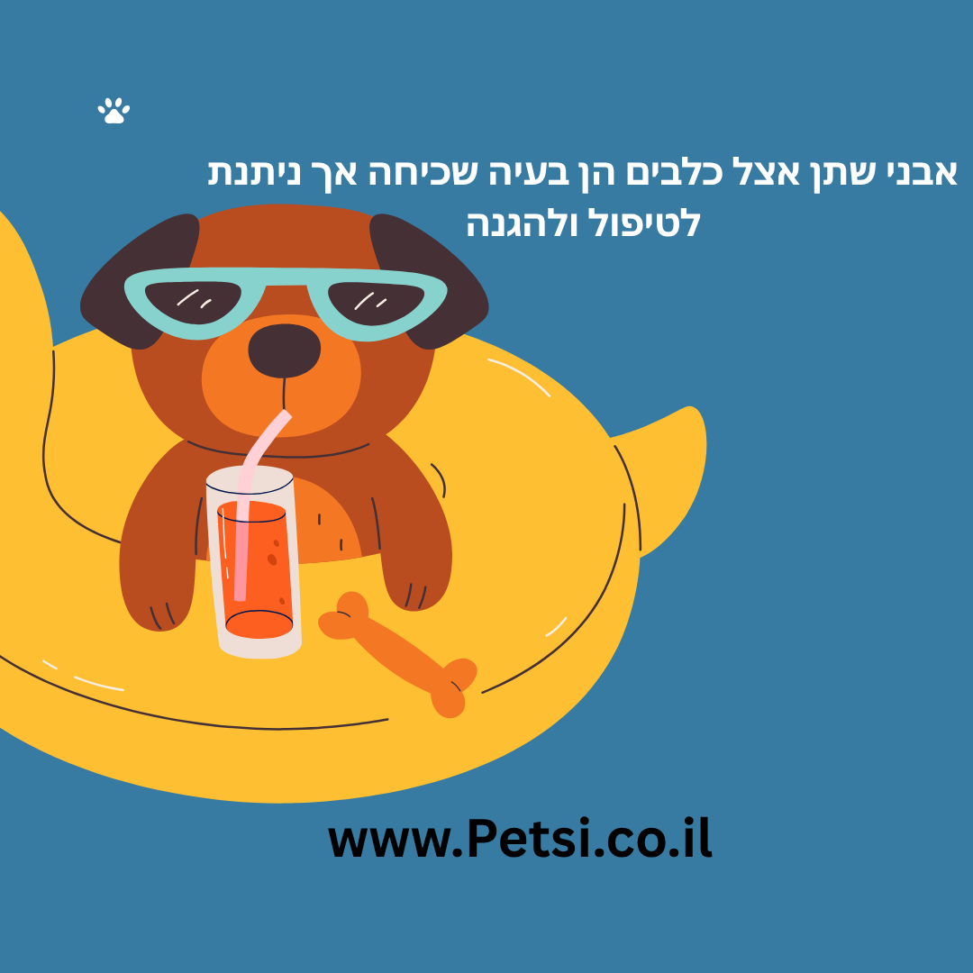 אבנים בדרכי השתן כלבים
