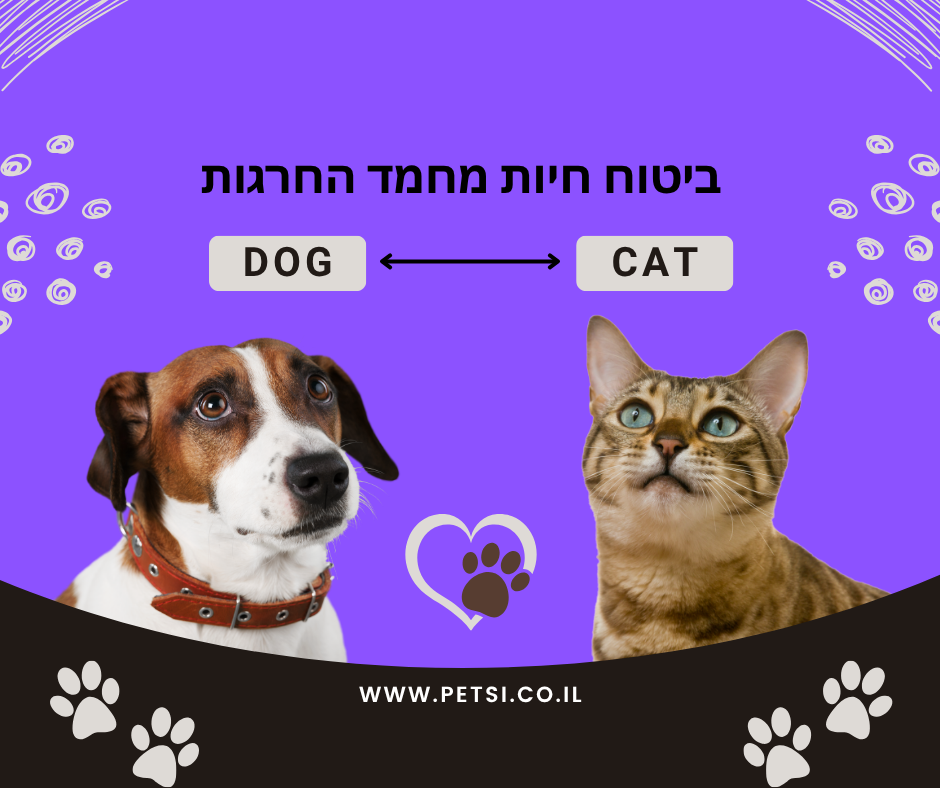 ביטוח חיות המחמד החרגות