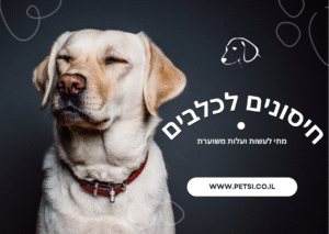 חיסונים לכלבים