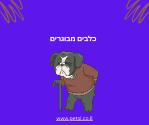 כלבים מבוגרים