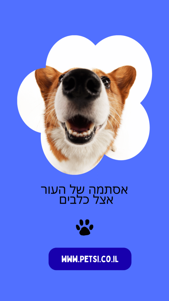 אסתמה של העור כלבים