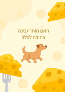 האם מותר גבינה צהובה לכלב