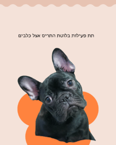 תת פעילות בלוטת התריס אצל כלבים