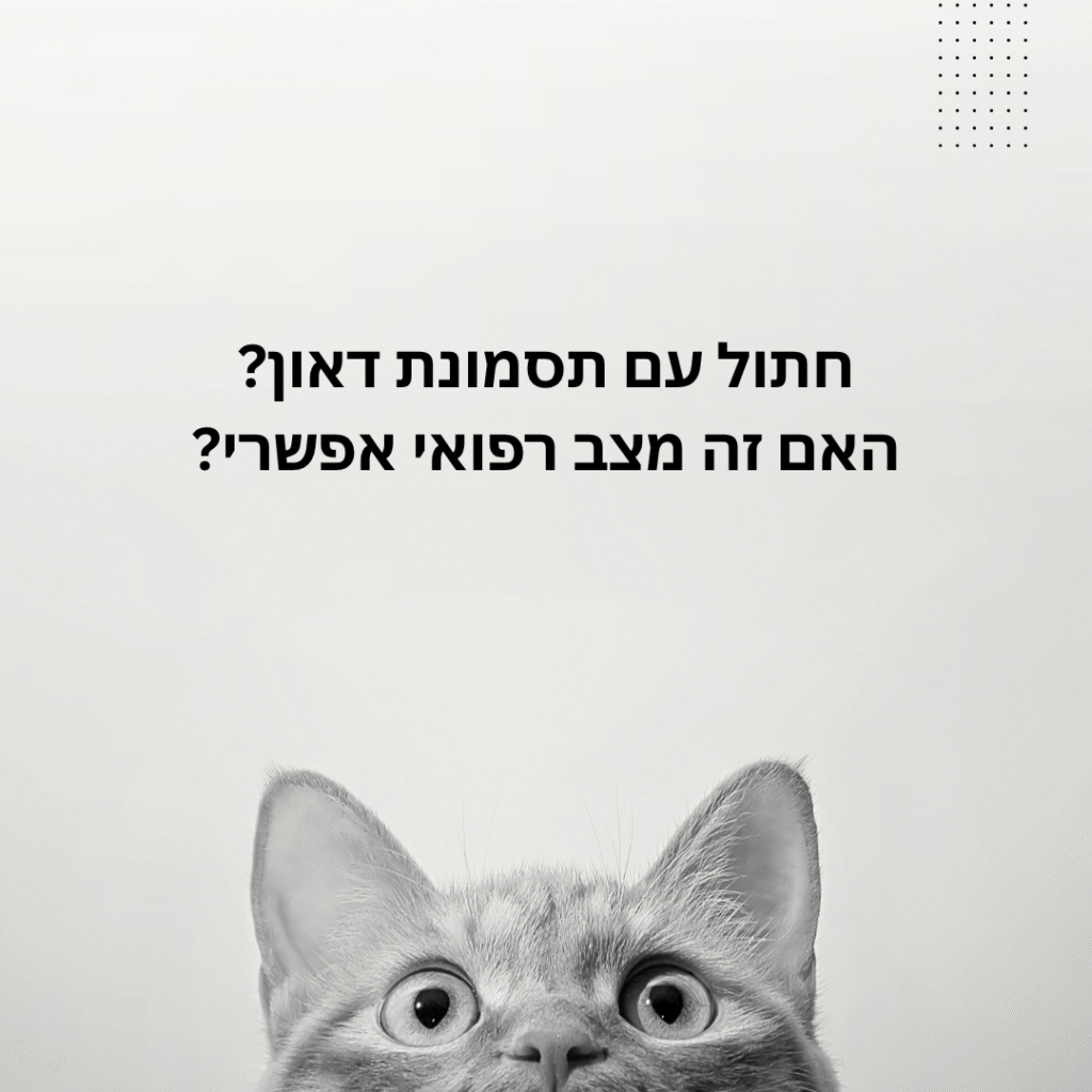 חתול עם תסמונת דאון