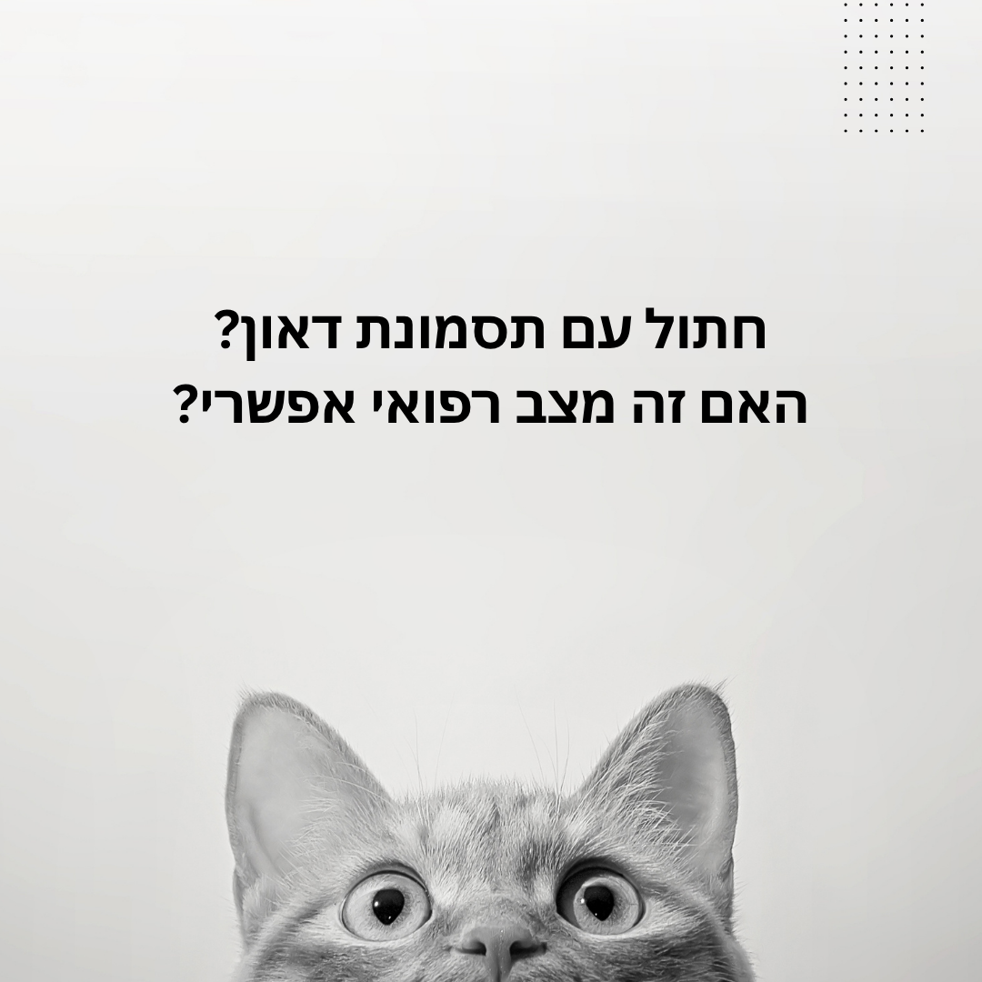 חתול עם תסמונת דאון