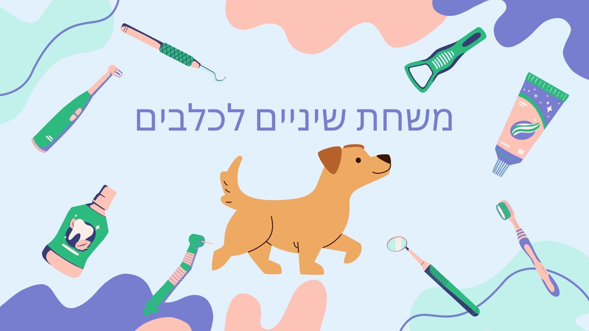 משחת שיניים לכלבים