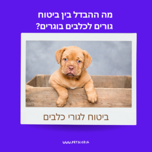 ביטוח לגורי כלבים