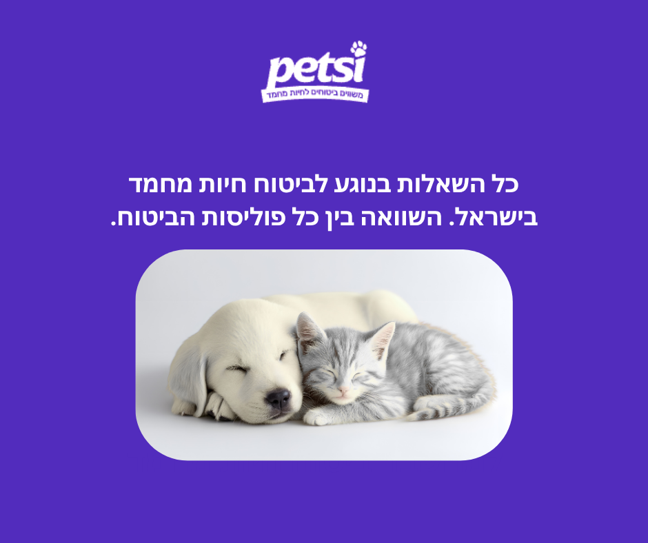 ביטוח חיות מחמד - שאלות נפוצות