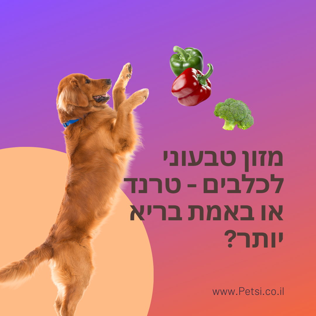 מזון טבעוני לכלבים