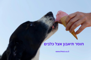 חוסר תיאבון אצל כלבים