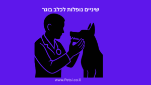 שיניים נופלות לכלב בוגר