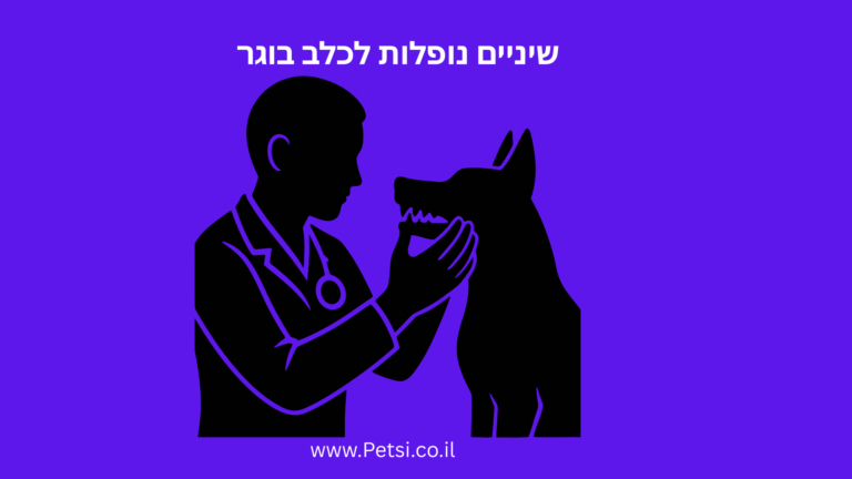שיניים נופלות לכלב בוגר