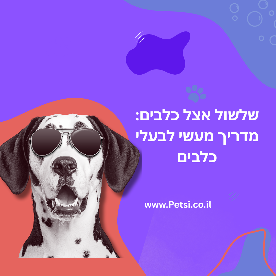 שלשול אצל כלבים