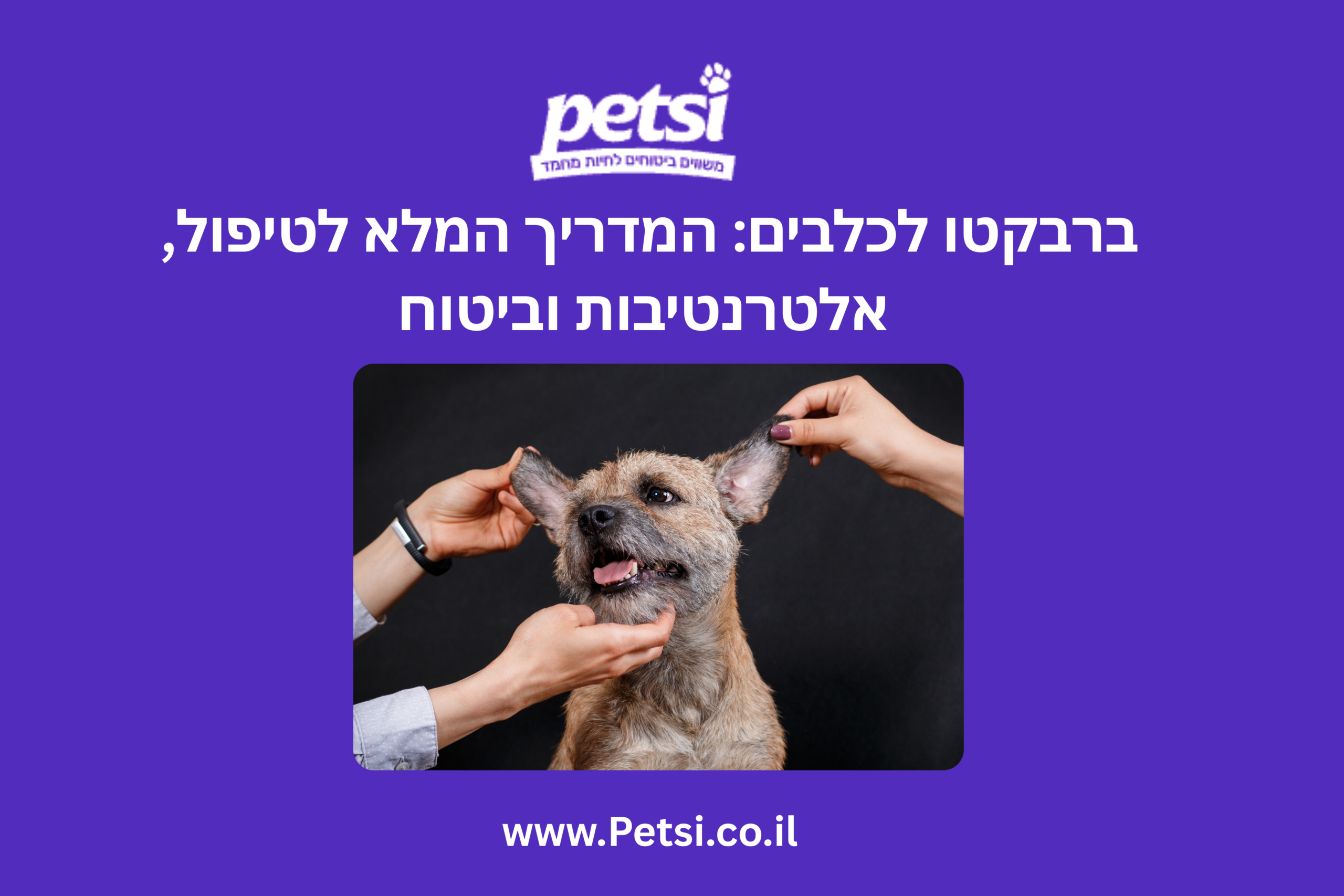 ברבקטו לכלבים