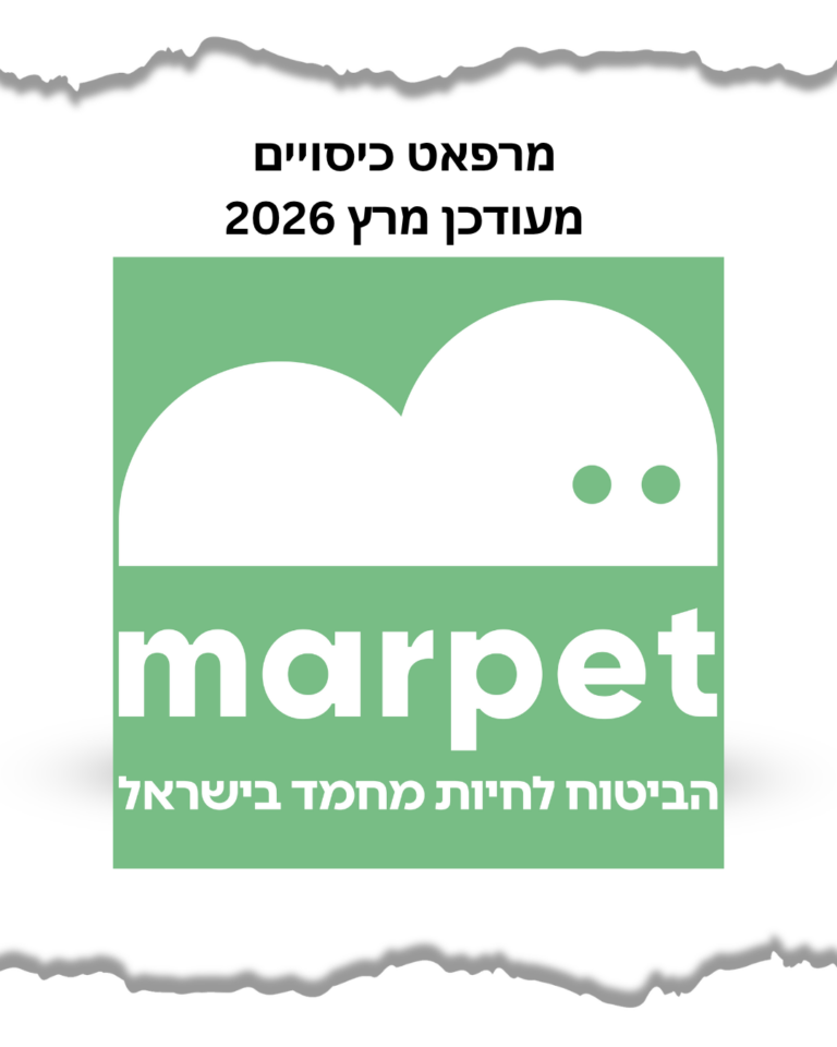 מרפאט כיסויים