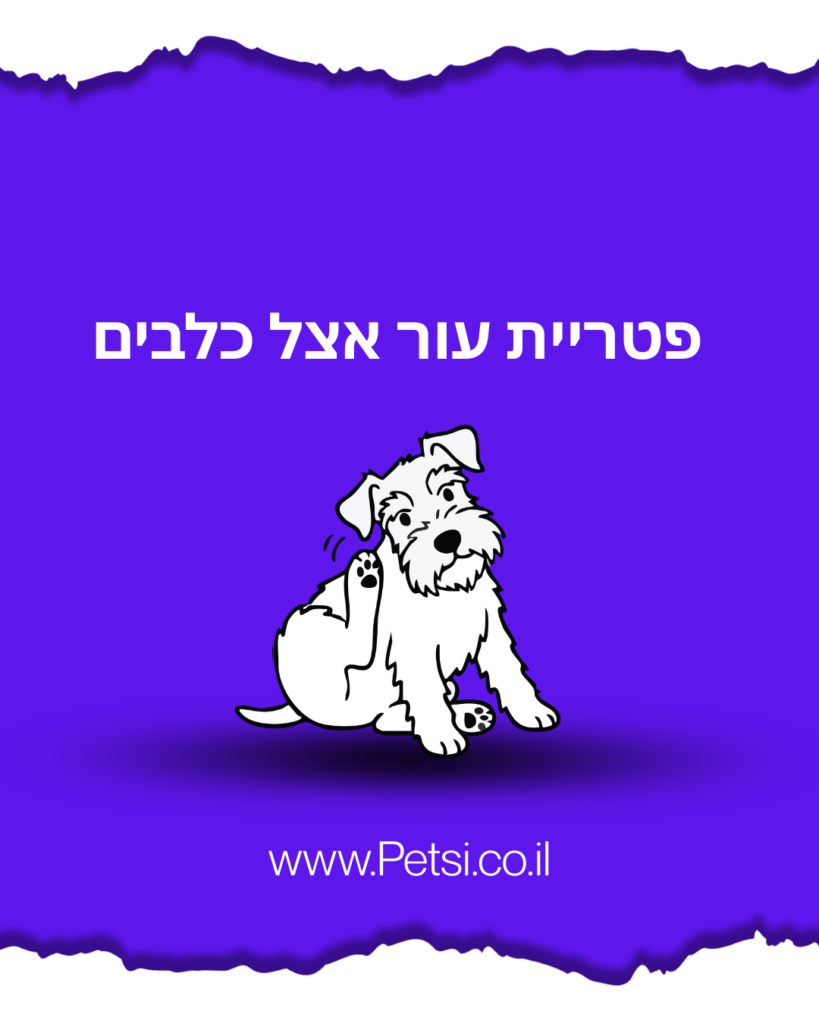 פטריית עור אצל כלבים