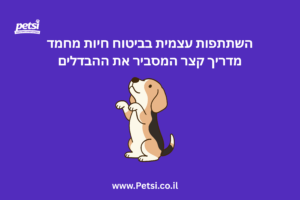 השתתפות עצמית בביטוח חיות מחמד