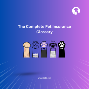 The Complete Pet Insurance Glossary