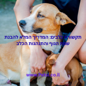 תקשורת כלבים