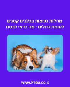 מחלות נפוצות בכלבים קטנים לעומת גדולים - מה כדאי לבטח?
