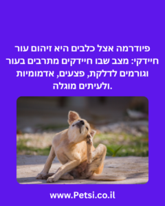 פיודרמה אצל כלבים