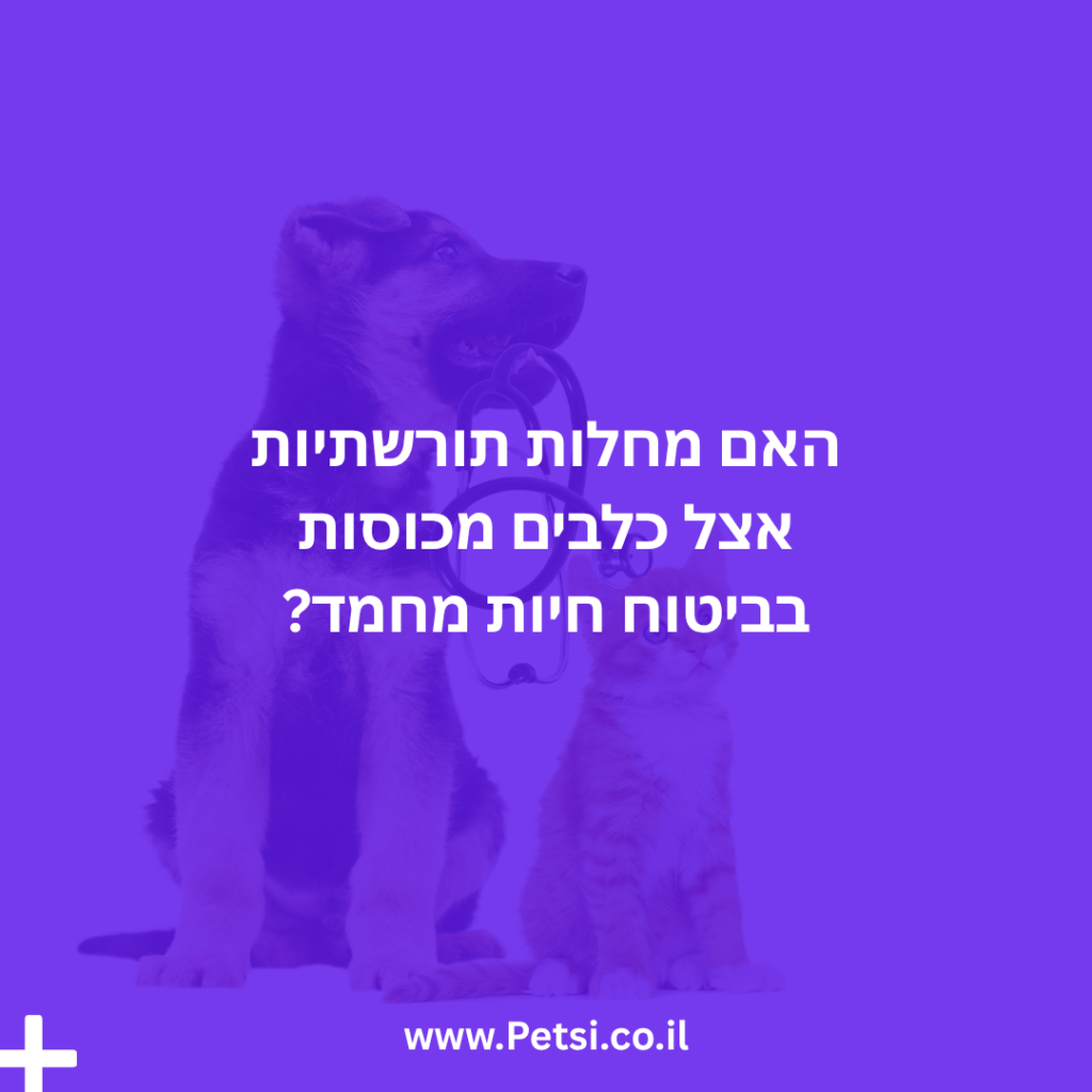האם מחלות תורשתיות אצל כלבים מכוסות בביטוח?