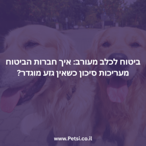ביטוח לכלב מעורב: איך חברות הביטוח מעריכות סיכון כשאין גזע מוגדר?