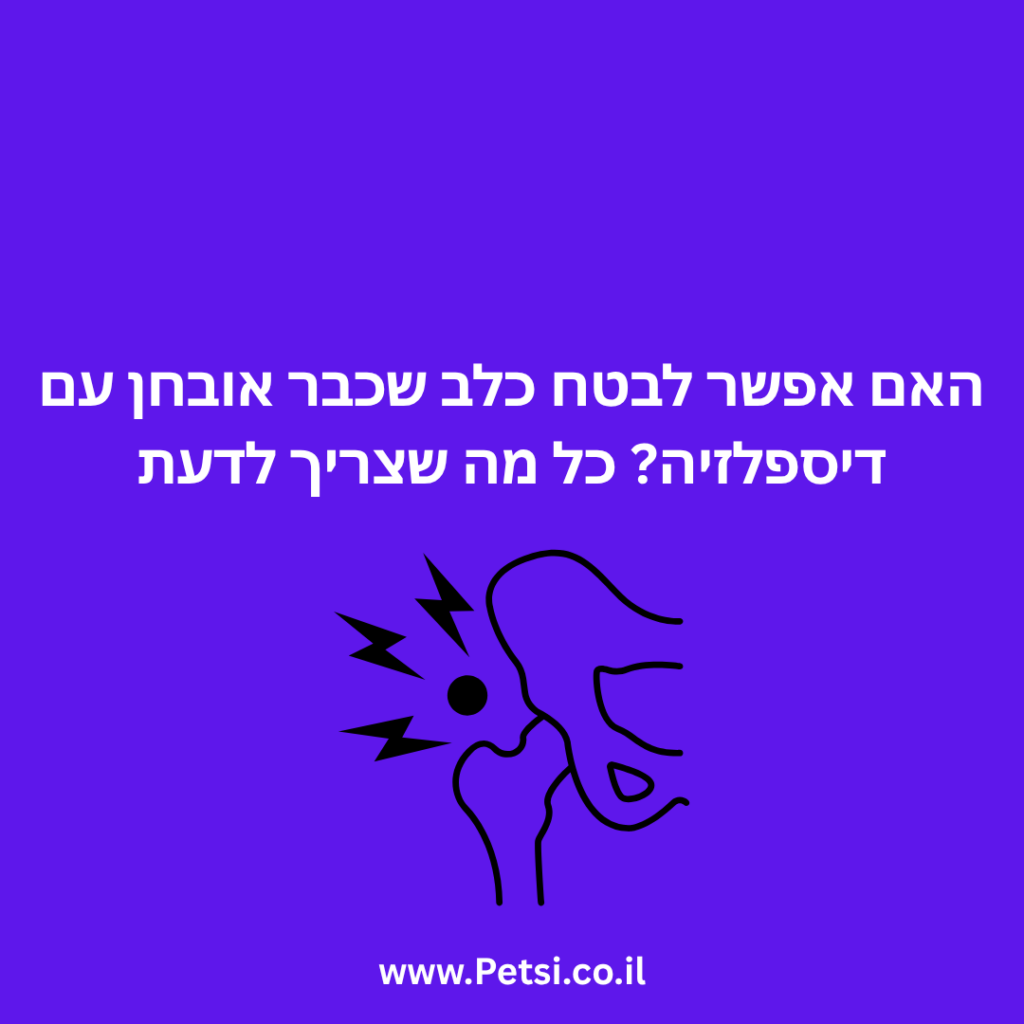 האם אפשר לבטח כלב שכבר אובחן עם דיספלזיה כל מה שצריך לדעת