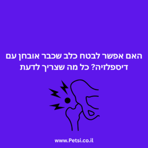 האם אפשר לבטח כלב שכבר אובחן עם דיספלזיה כל מה שצריך לדעת