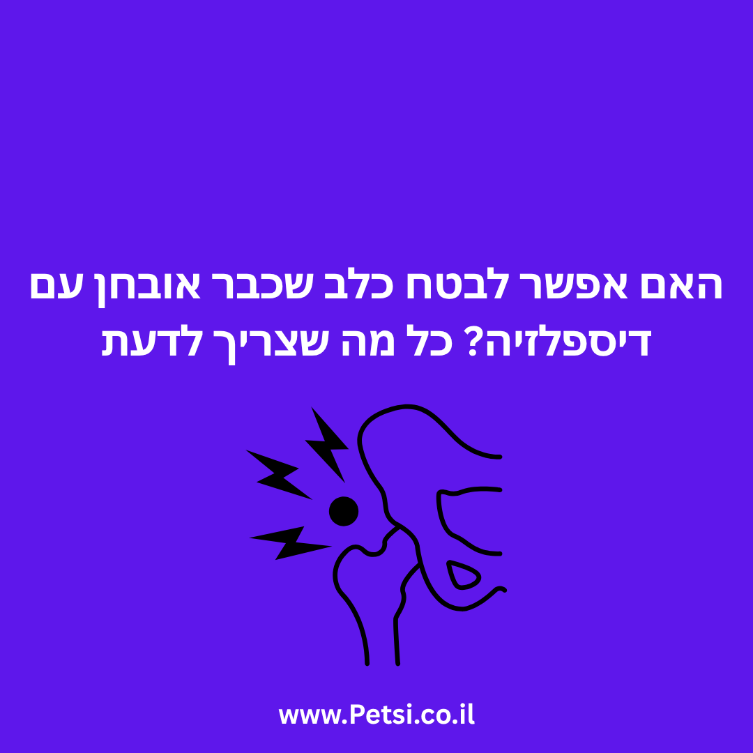 האם אפשר לבטח כלב שכבר אובחן עם דיספלזיה כל מה שצריך לדעת
