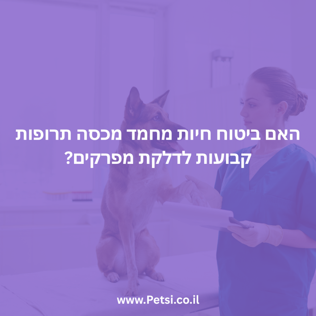 האם ביטוח חיות מחמד מכסה תרופות קבועות לדלקת מפרקים?