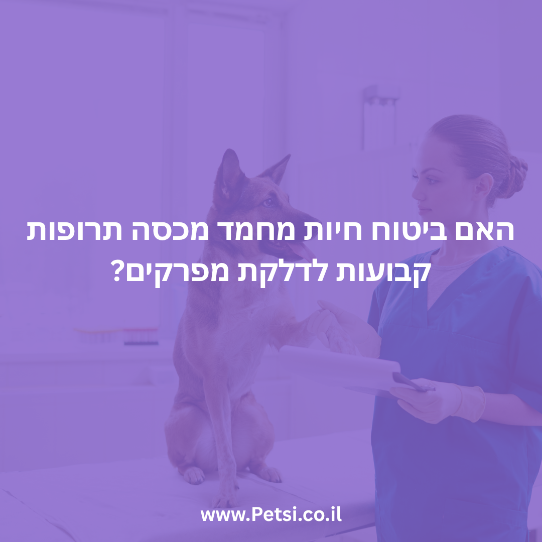 האם ביטוח חיות מחמד מכסה תרופות קבועות לדלקת מפרקים?
