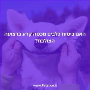 האם ביטוח כלבים מכסה קרע ברצועה הצולבת?