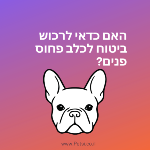 האם כדאי ביטוח לכלב פחוס פנים?