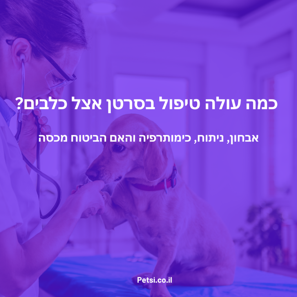 כמה עולה טיפול בסרטן אצל כלבים