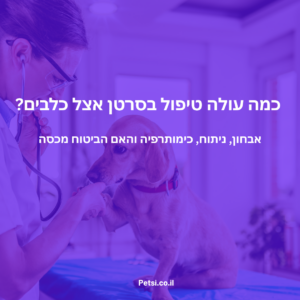כמה עולה טיפול בסרטן אצל כלבים